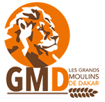 LOGO_GMD_PNG 1